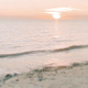 Meet your Posher, Quinn